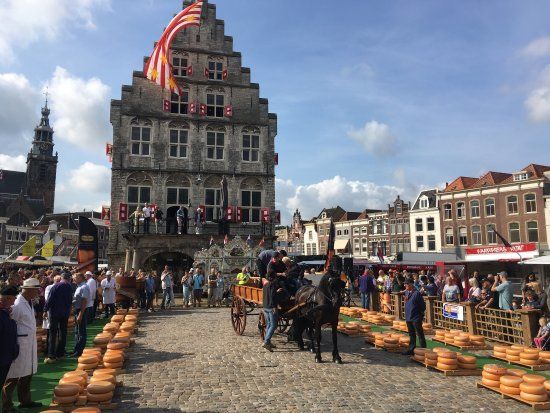 Gouda Cheese Market