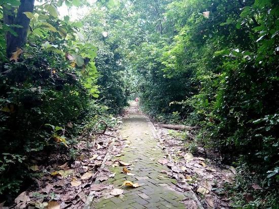 Bethuadahari Wildlife Sanctuary