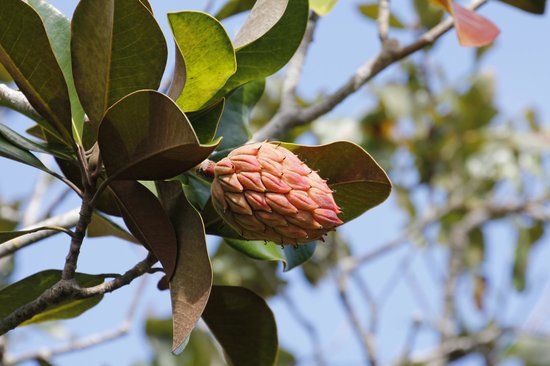 North Peninsula State Park