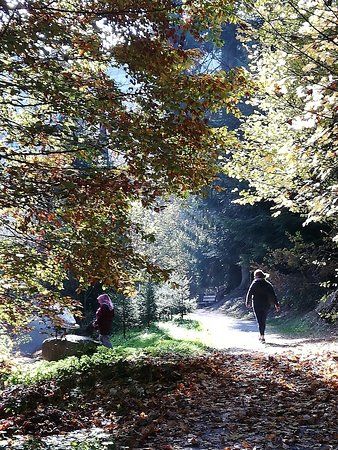 Waldachtaler Krabbenweg- Kunst trifft Natur