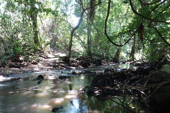 Chebera-Churchura National Park