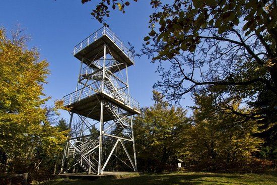 Wieża widokowa na Kalenicy