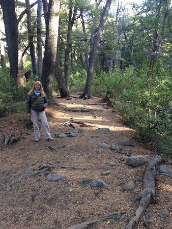 Mirador Lago Gutierrez
