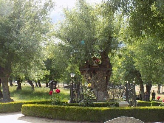 Prado Nuevo