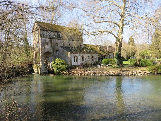 Bords du Loiret