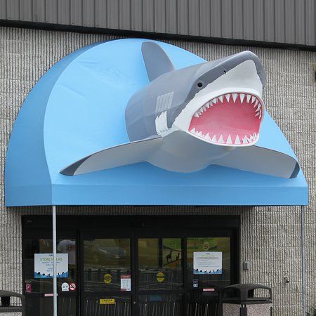 That Fish Place
