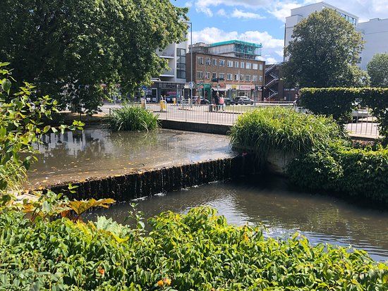 Jellicoe Water Gardens