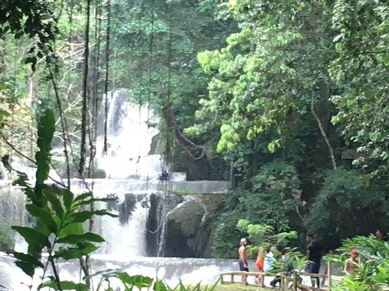 YS Falls, Negril