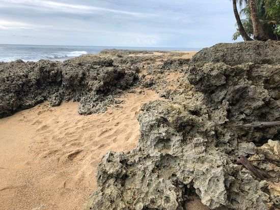 Los Guardianes Wildlife Refuge