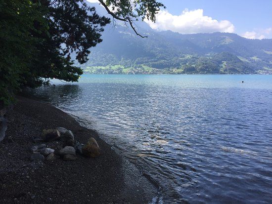 Weissenau-Naturschutzgebiet