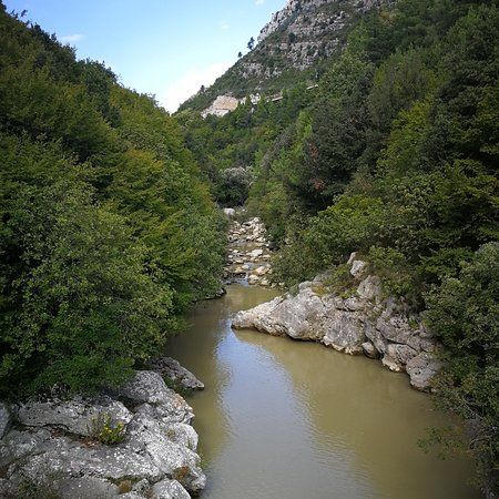 Forre Lavello