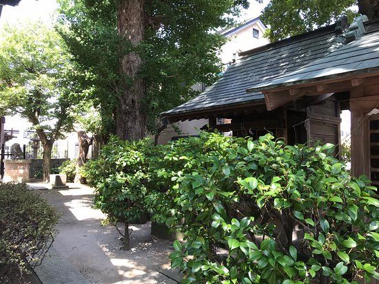 Shinkoiwa Tenso Shrine