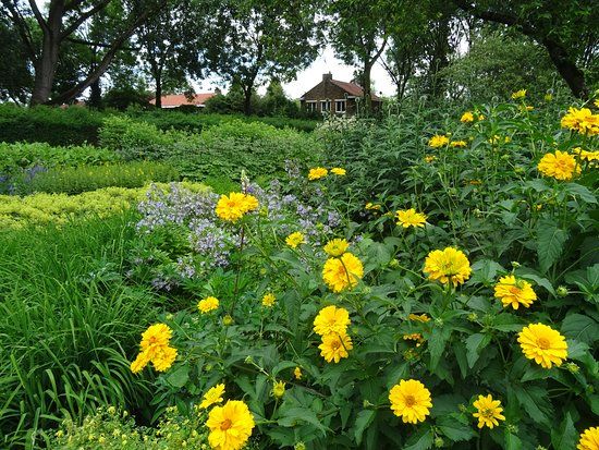 Bloementuin Darwinplantsoen