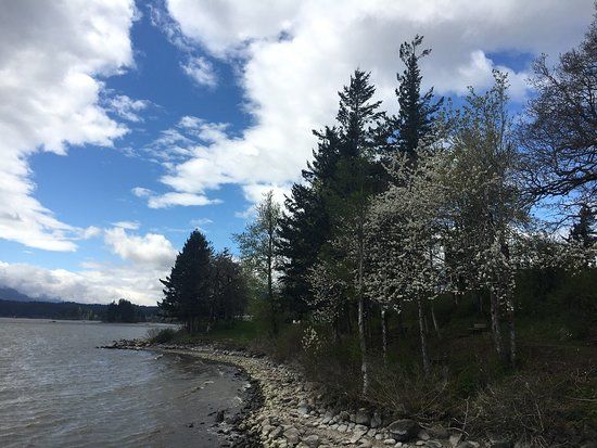 Cotton Wood Beach