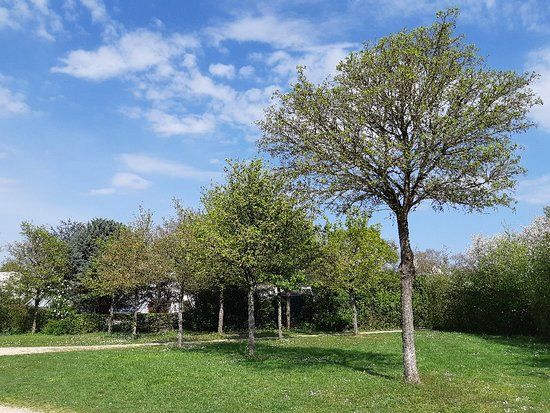 Parc de la Guerinais