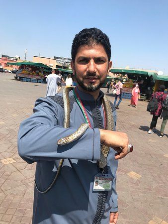 Travel Morocco Services