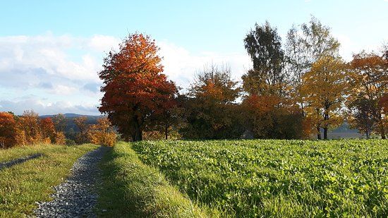 Zwölfgipfelblick