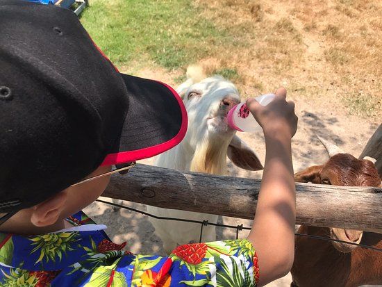 Malai Farm at Cha Am