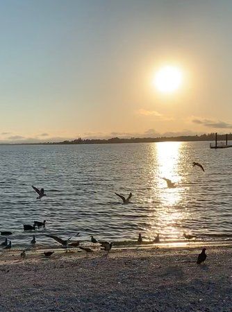 North Shore Park