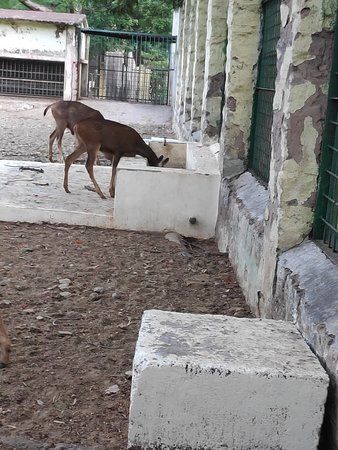 VOC Park And Zoo