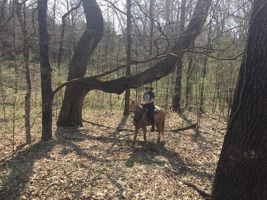 Yanahli Preserve and Horse Trails