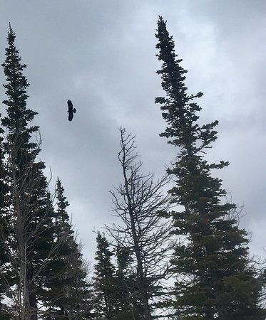 Castle Provincial Park