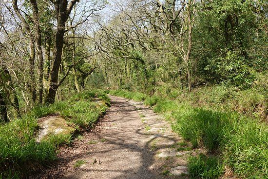 Luxulyan Valley to Prideaux Circular Walk