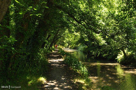 King's Wood and Pentewan Circular Walk