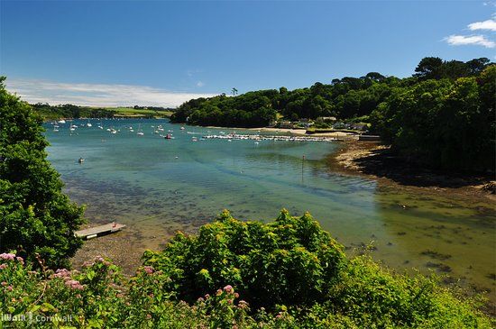 Helford and Frenchman's Creek Circular Walk