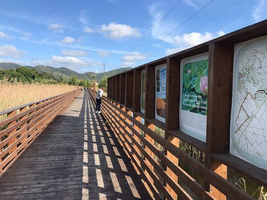 Percorso ciclopedonale Fior di Loto