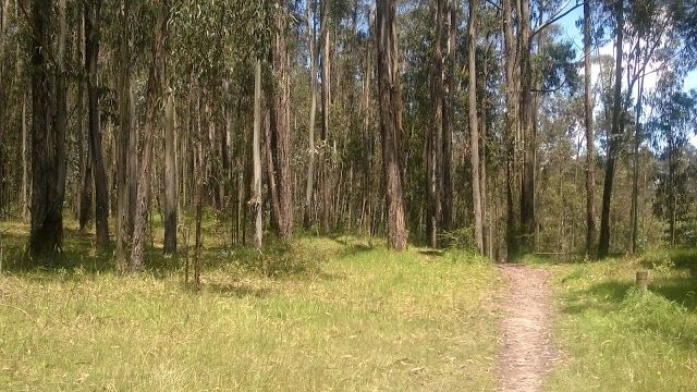 Parque Metropolitano