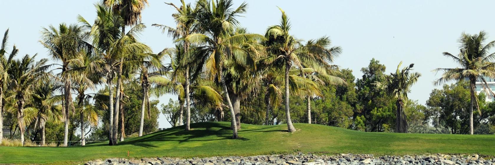 Dubai Creek Golf & Yacht Club