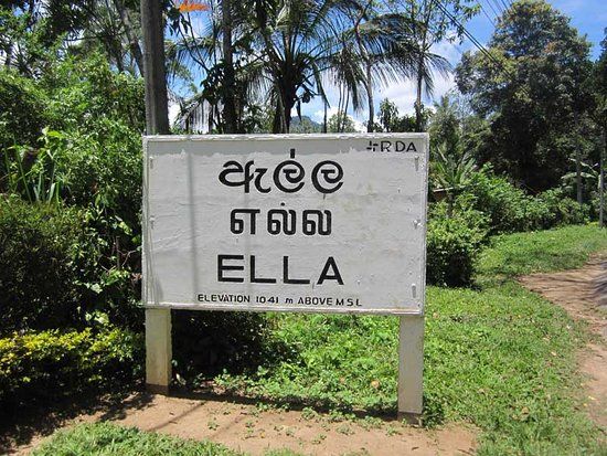 Ella Train Journey