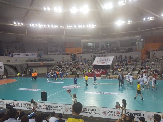 Area Gimnastik Olimpik