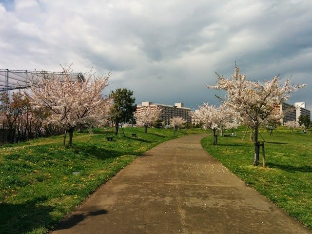 大森ふるさとの浜辺公園