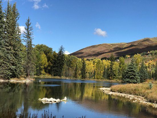 Centro de Estudos Ambientais de Aspen