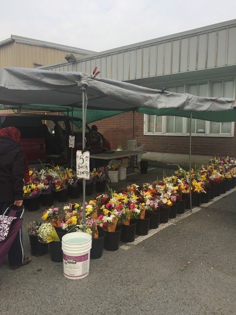 The Cloverdale Market
