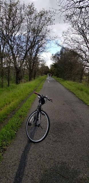 Joe Rodota Trail