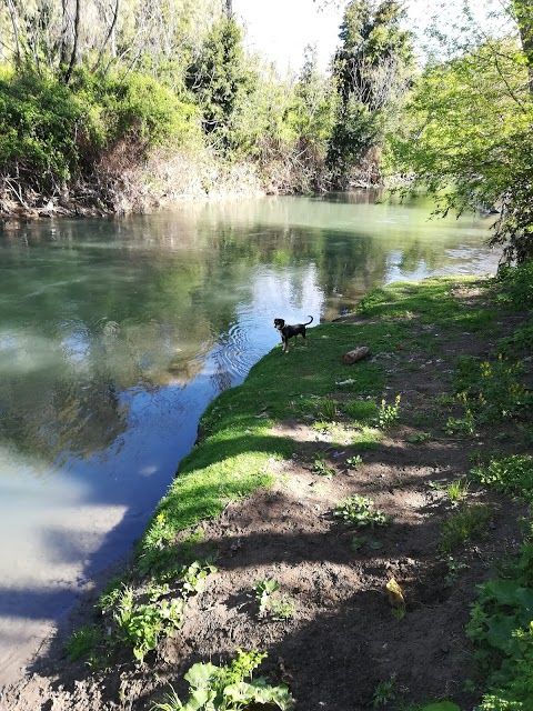 Riserva Naturale della Valle dell'Aniene