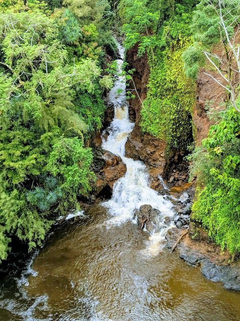 Kolekole Gulch Park