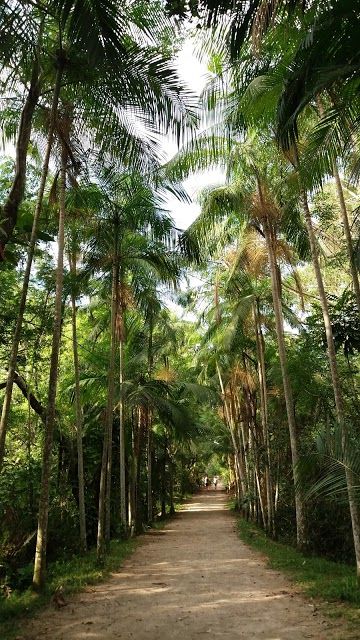 Parque Municipal do Corrego Grande