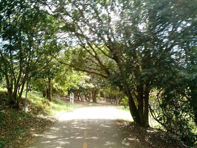 Parque Olhos D'Água