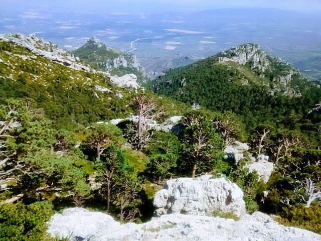 Parque natural dels Ports
