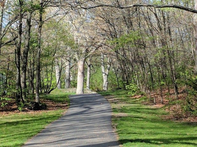 Dorchester Park