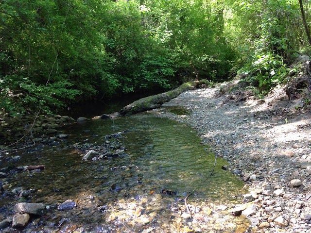 Daniel Johnson Nature Preserve