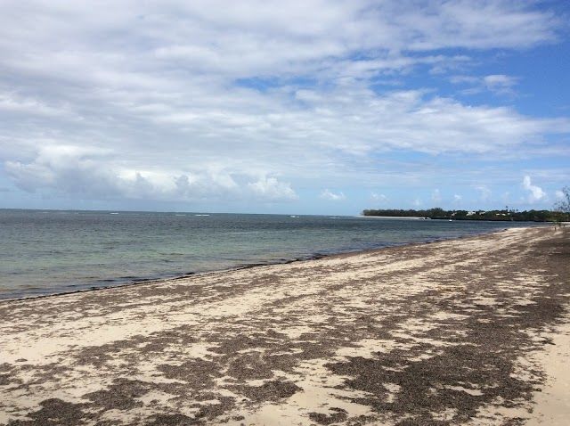 Marine National Park