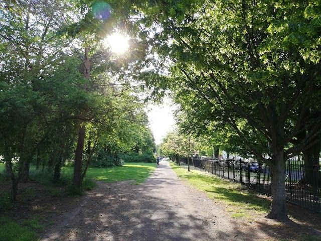 Coleridge Recreation Ground