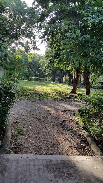 Iberica Cimi Cemus Park