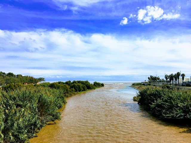 Parc Fluvial del Besos