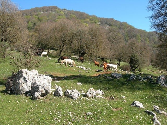 Parco Naturale Regionale dei Monti Lucretili